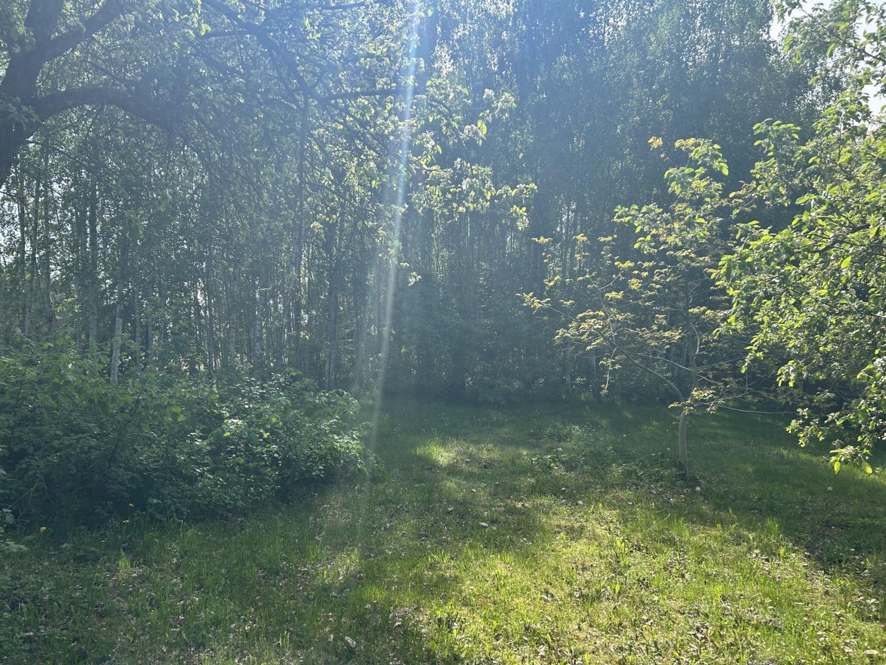 Działka rekreacyjna Stary Podoś. Zdjęcie 5