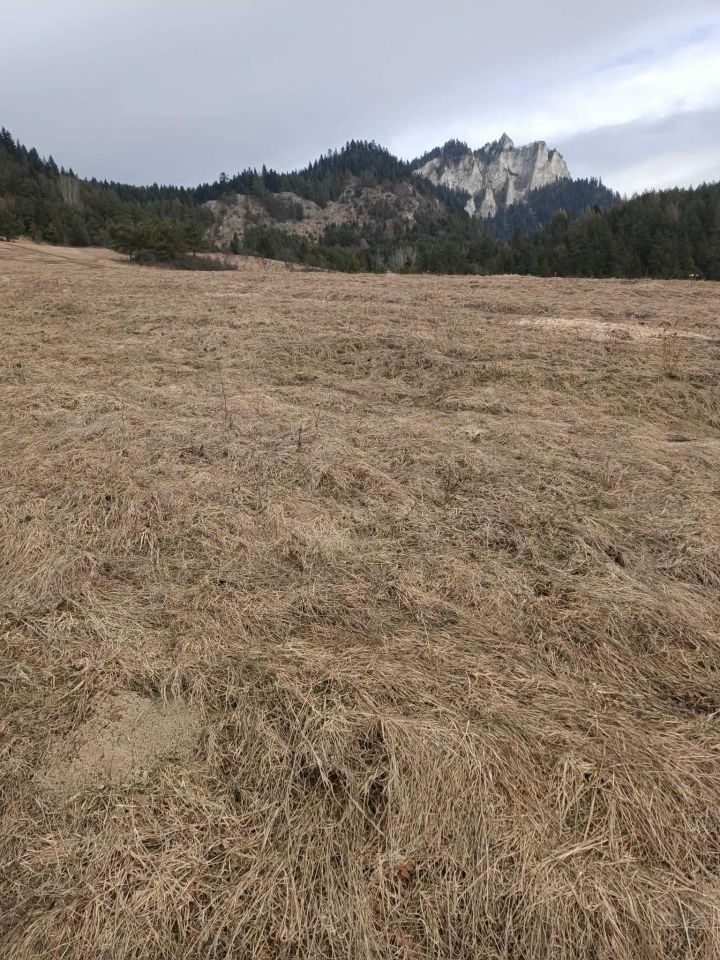 Działka rolna Sromowce Niżne. Zdjęcie 3