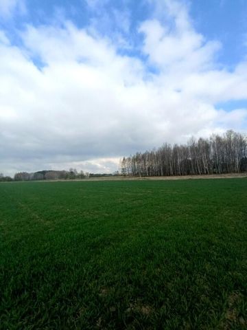 Działka budowlana Świerzowa Polska. Zdjęcie 1
