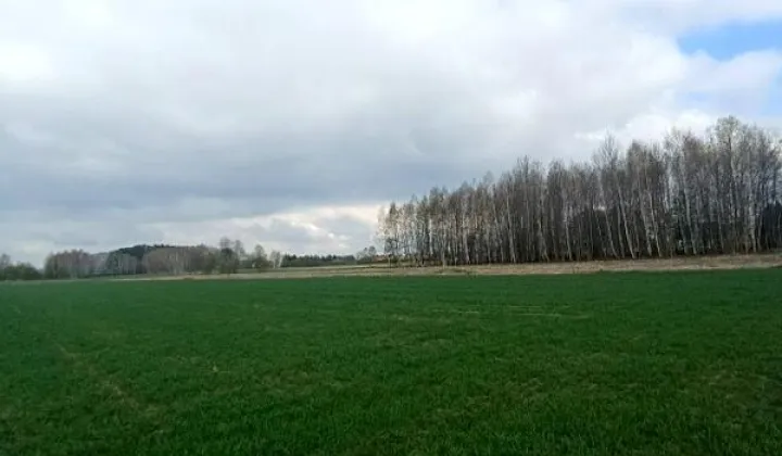 Działka budowlana Świerzowa Polska