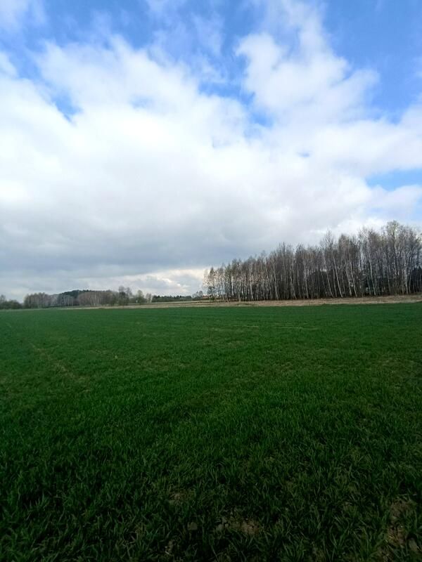 Działka budowlana Świerzowa Polska. Zdjęcie 1