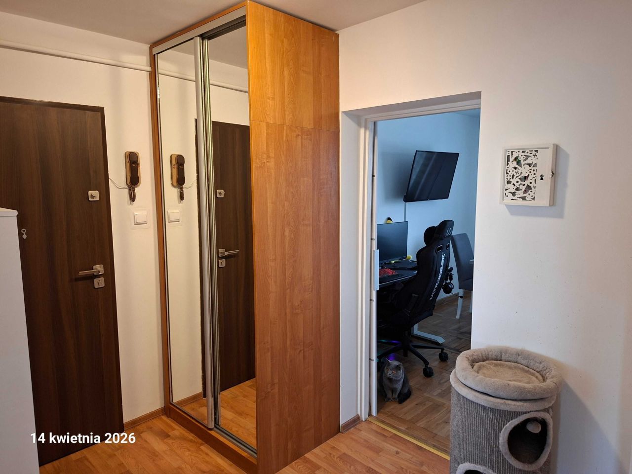 Mieszkanie 2-pokojowe Mogilno. Zdjęcie 6