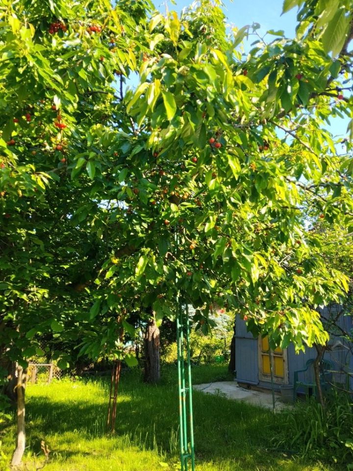 Działka rod Siedlce Piaski Zamiejskie. Zdjęcie 5