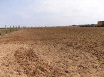 Działka rolno-budowlana Lisewo. Zdjęcie 4