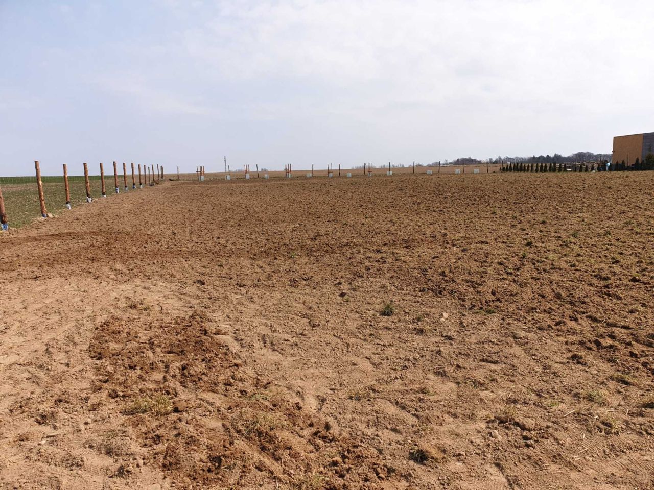 Działka rolno-budowlana Lisewo. Zdjęcie 5