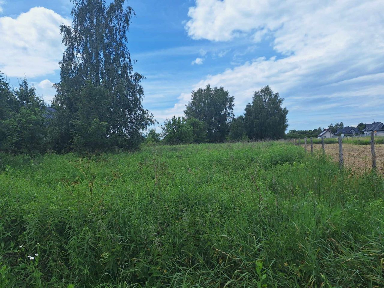 Działka budowlana Kazimierów, ul. Świętokrzyska. Zdjęcie 2