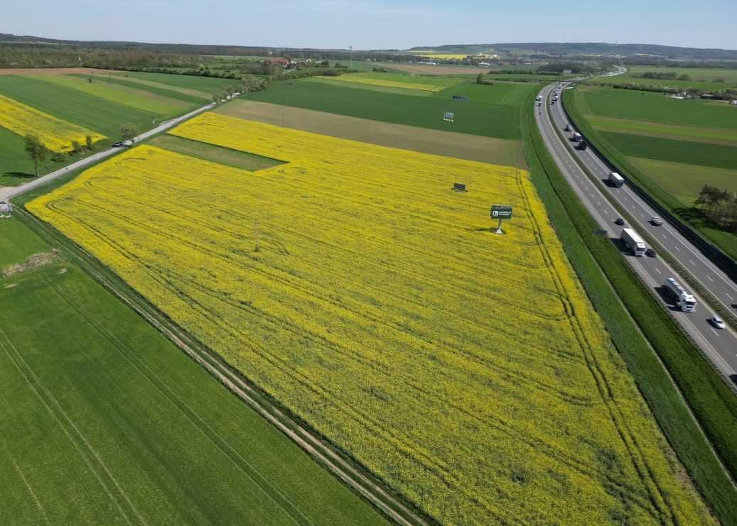 Działka inwestycyjna Gogolin Strzebniów. Zdjęcie 6
