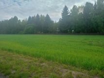 Działka budowlana Czuryły. Zdjęcie 3