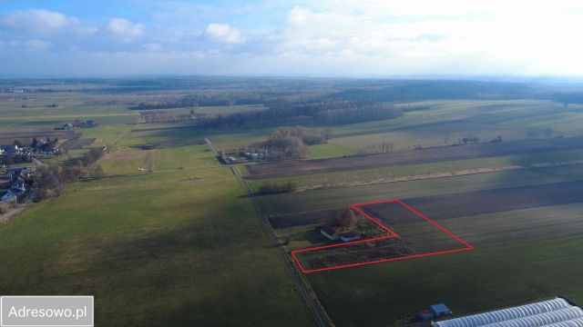 Działka rolno-budowlana Wilkowiecko Dąbrówka. Zdjęcie 1