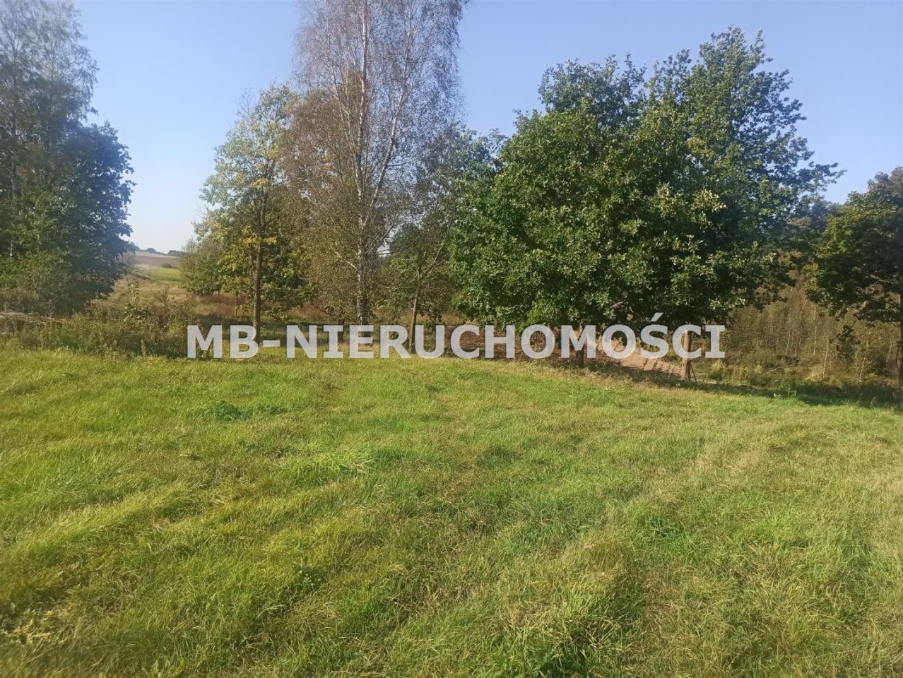 Działka rolna Ługwałd. Zdjęcie 3