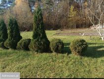 Działka budowlana Kielce, ul. Klecka. Zdjęcie 4