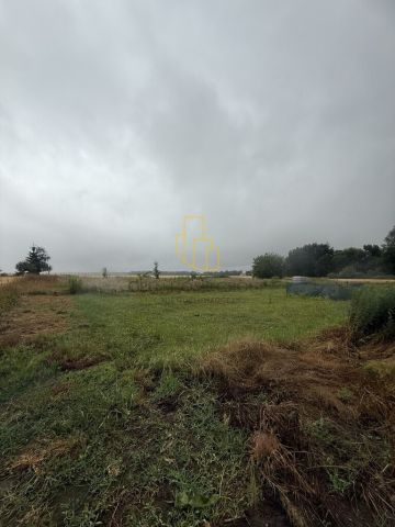 Działka rolna Gniechowice. Zdjęcie 7