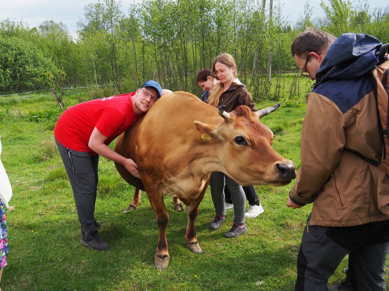 siedlisko, 3 pokoje Lubomierz, milęcice. Zdjęcie 20