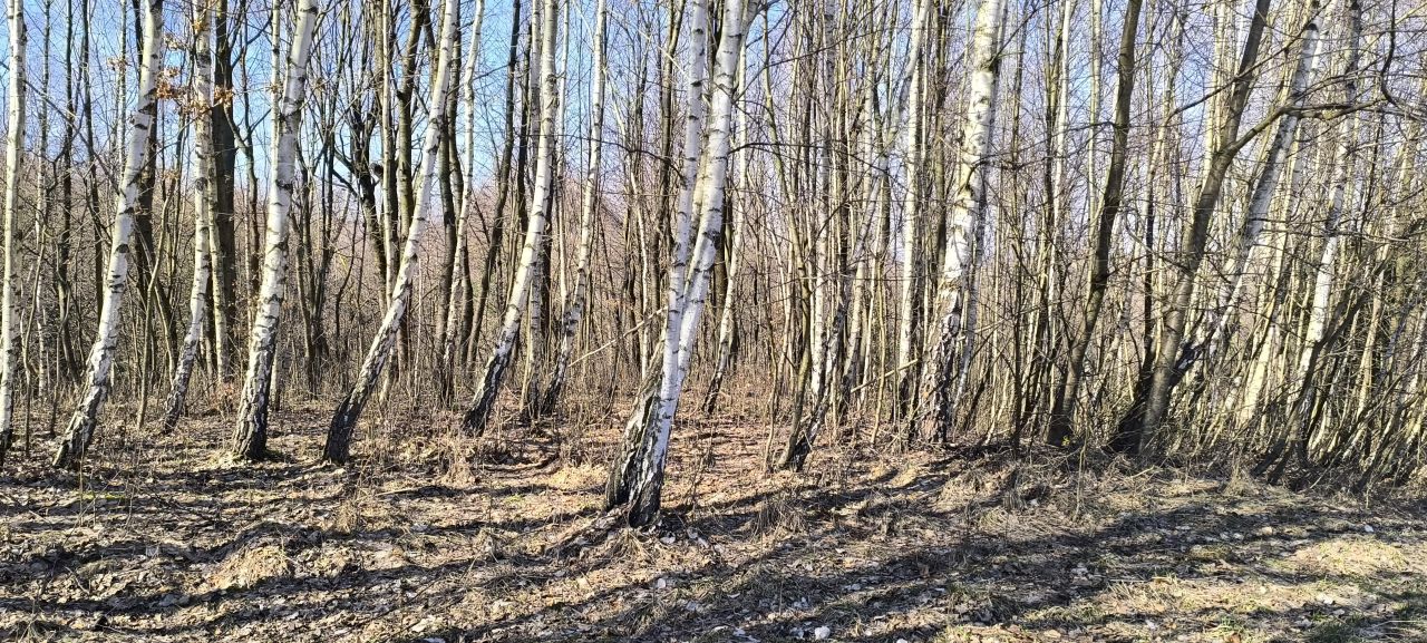 Działka rolno-budowlana Błażowa. Zdjęcie 11