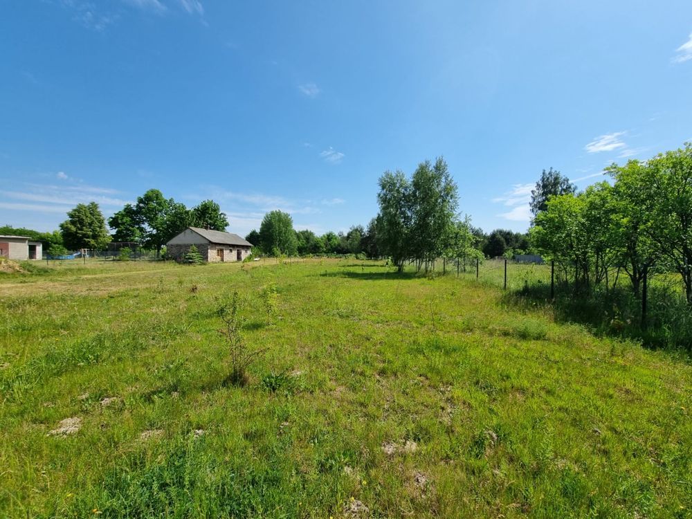 Działka rolno-budowlana Wysocko. Zdjęcie 1