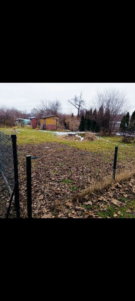 Działka rod Ostrowiec Świętokrzyski, ul. Stefana Żeromskiego. Zdjęcie 5