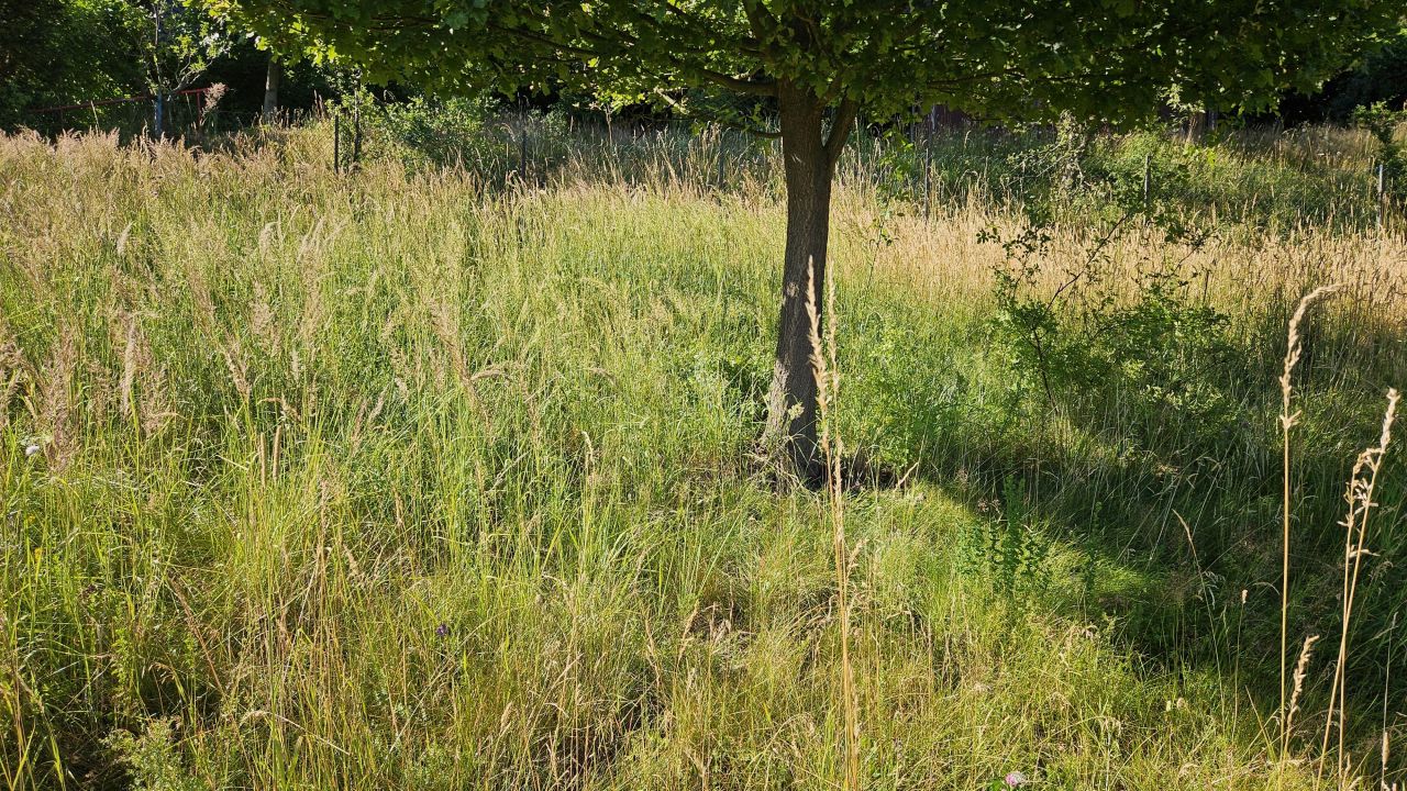 Działka budowlana Tresna Tresna Mała, ul. Szczytowa. Zdjęcie 11