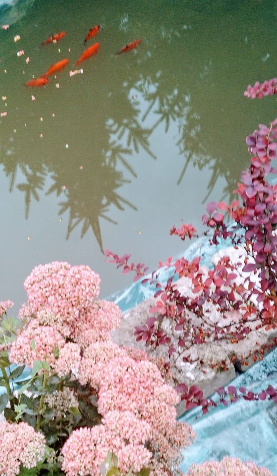 dom wolnostojący, 2 pokoje Uchańka. Zdjęcie 4