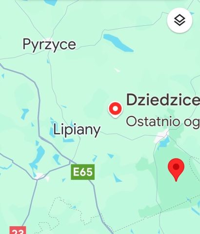 dom wolnostojący, 4 pokoje Dziedzice. Zdjęcie 1