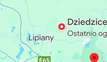 dom wolnostojący, 4 pokoje Dziedzice