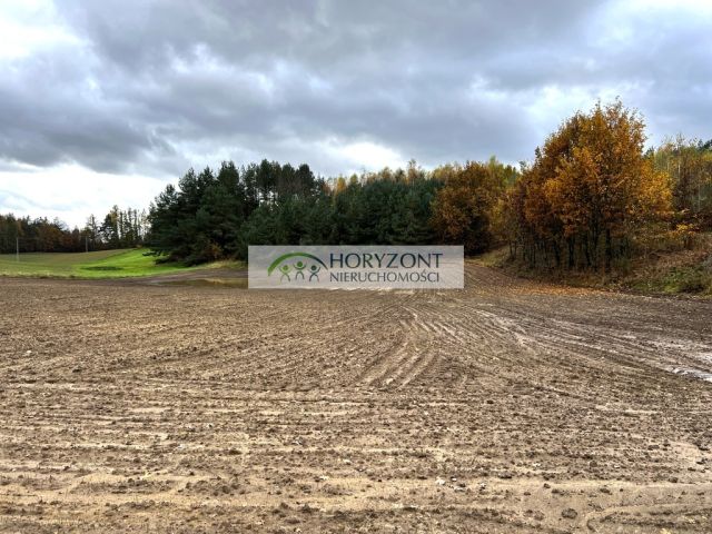 Działka Mściszewice. Zdjęcie 1