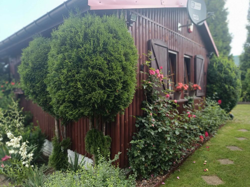 Działka rod Klebark Mały. Zdjęcie 1