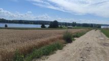 Działka rolno-budowlana Chrzypsko Wielkie, ul. Widokowa. Zdjęcie 2
