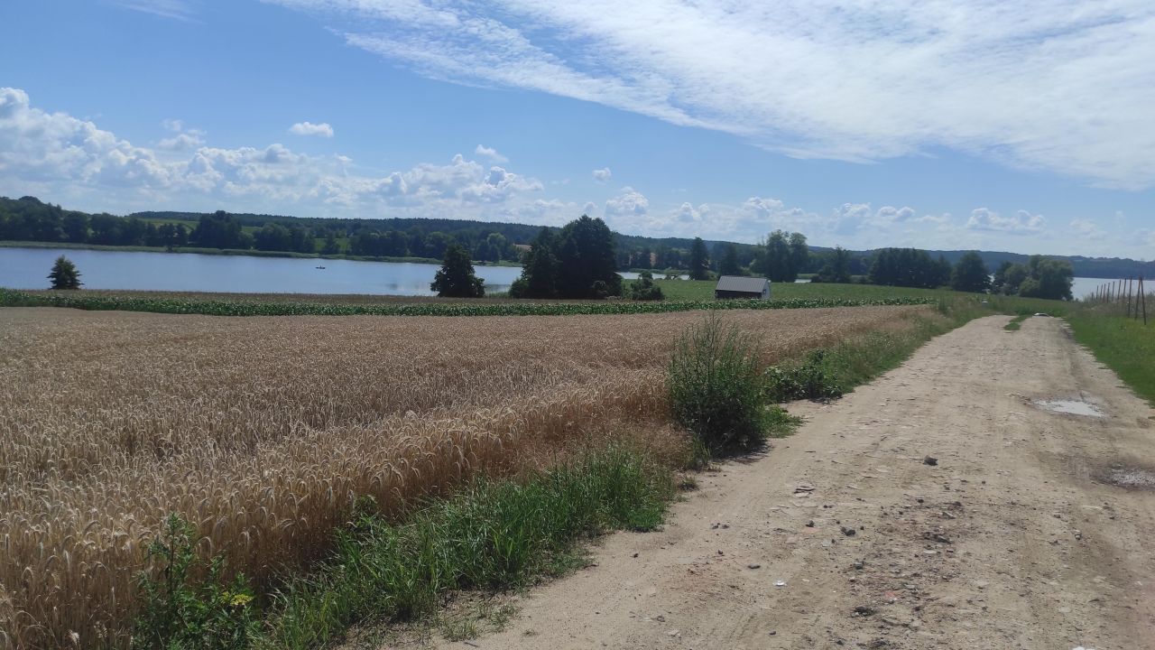 Działka rolno-budowlana Chrzypsko Wielkie, ul. Widokowa. Zdjęcie 3