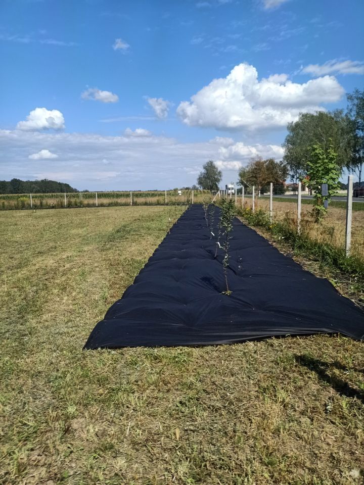 Działka rolno-budowlana Drołtowice. Zdjęcie 9