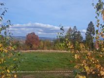 Działka budowlana Kopaniec. Zdjęcie 1