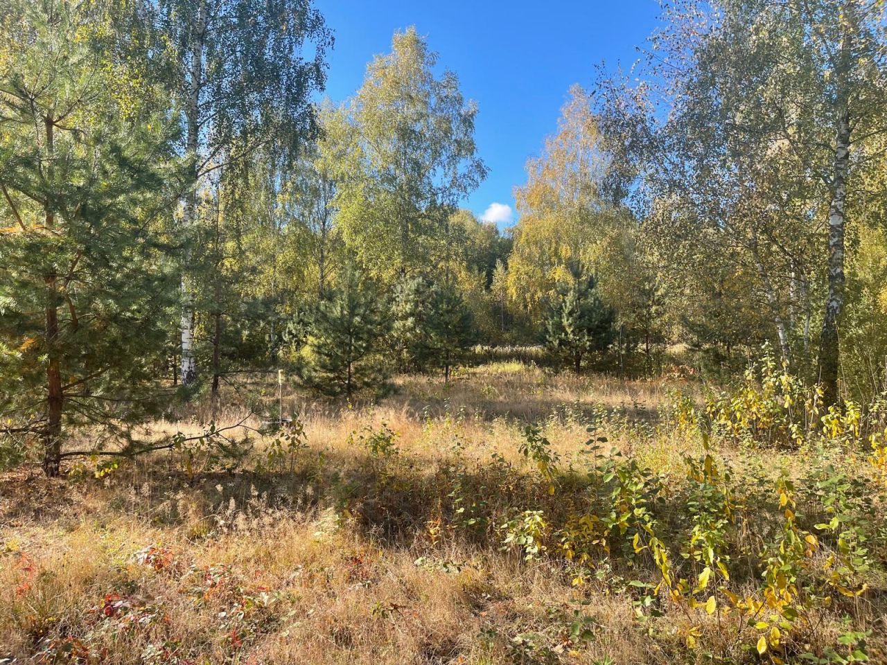 Działka budowlana Żabieniec