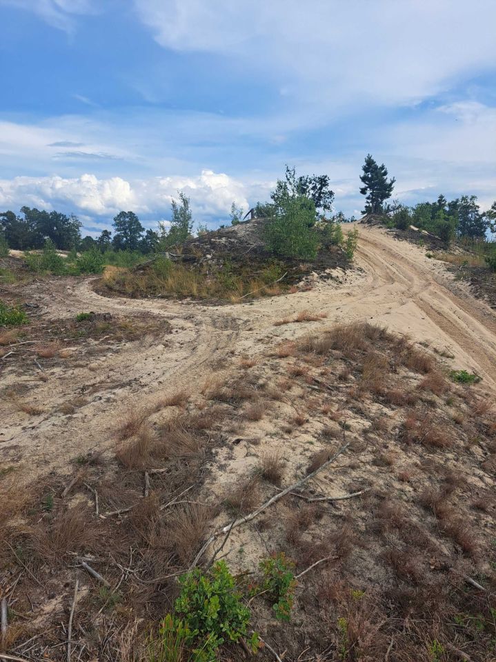 Działka rekreacyjna Kosiorów. Zdjęcie 6