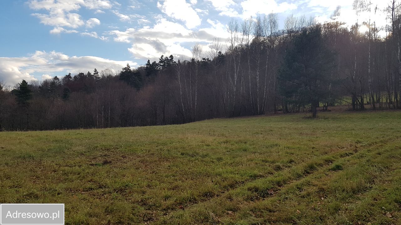 Działka inwestycyjna Bóbrka. Zdjęcie 16
