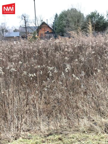 Działka budowlana Mrowiska. Zdjęcie 5