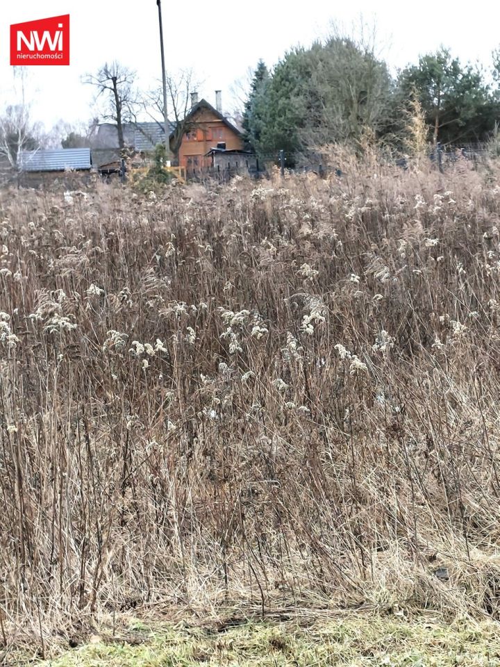 Działka budowlana Mrowiska. Zdjęcie 5