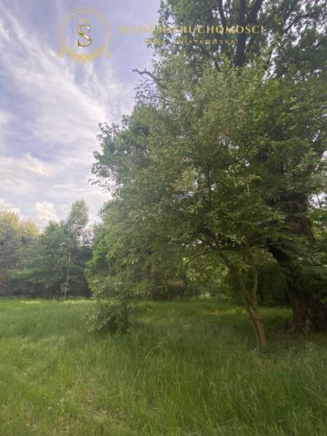 Działka budowlana Straszowice Żychlin. Zdjęcie 4