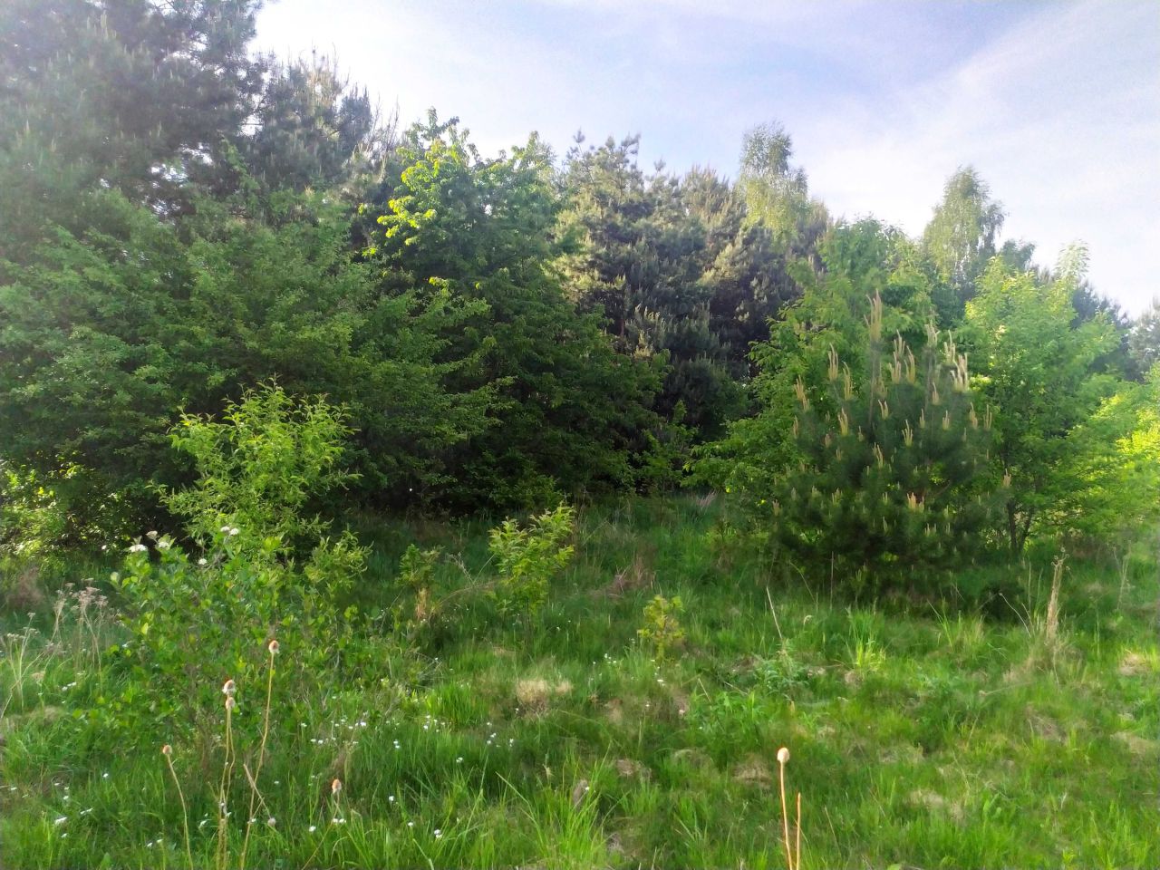 Działka budowlana Swolszewice Małe, ul. Iłki