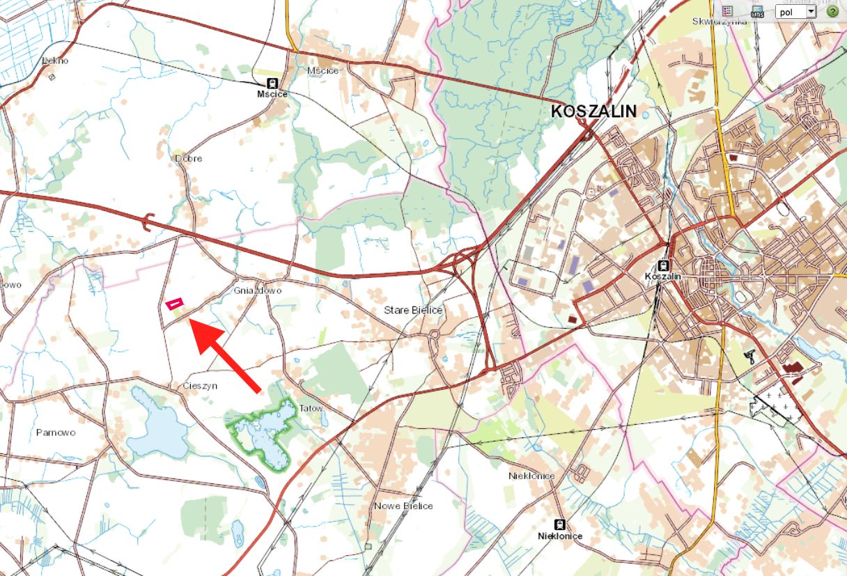 Działka budowlana Witolubie. Zdjęcie 6