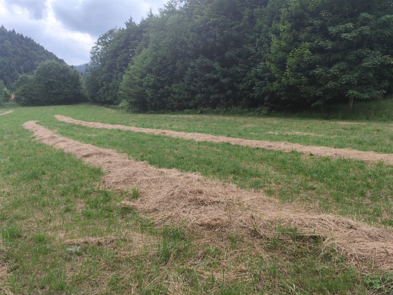 Działka budowlana Mszana Dolna. Zdjęcie 2