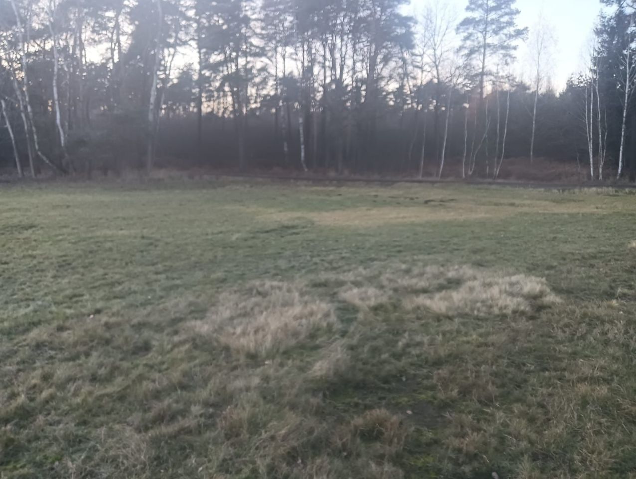 Działka inwestycyjna Lędziny. Zdjęcie 3