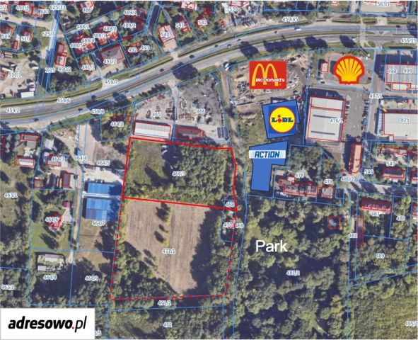 Działka inwestycyjna Reguły. Zdjęcie 1