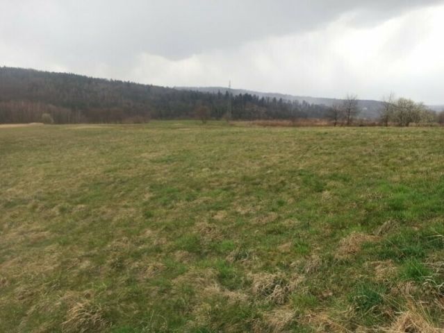 Działka rolna Kulerzów. Zdjęcie 1