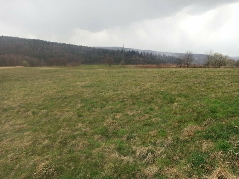 Działka rolna Kulerzów