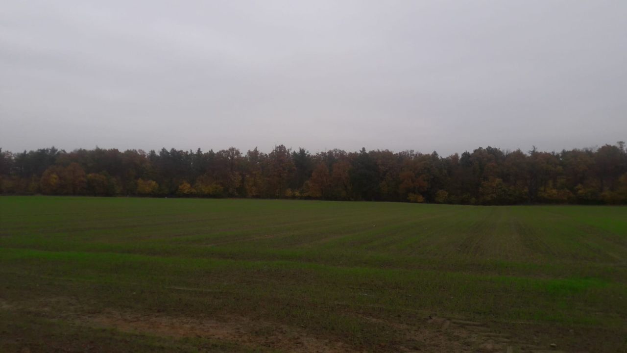 Działka budowlana Wieniec-Zalesie, ul. Bociania. Zdjęcie 3