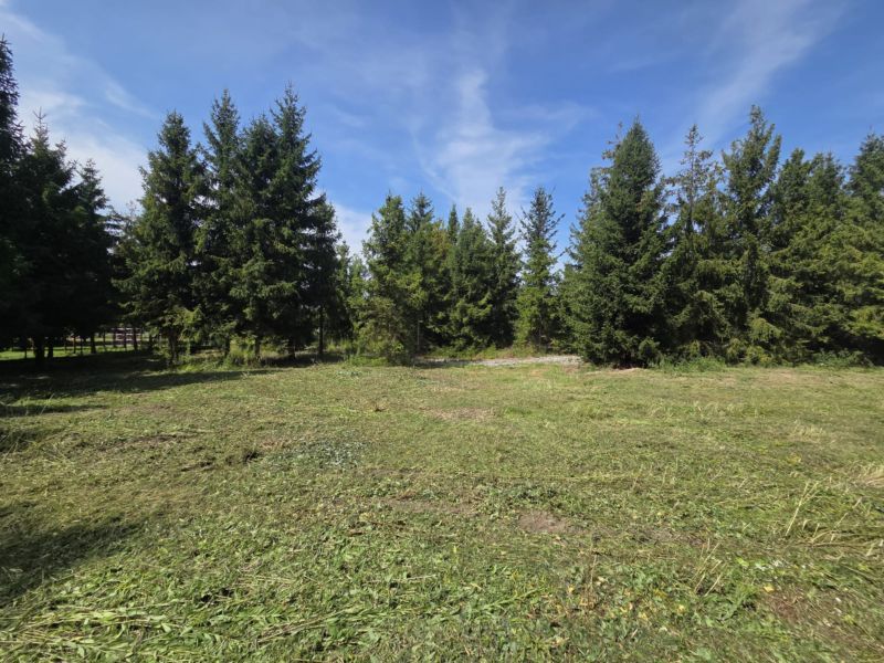 Działka budowlana Zawonia, ul. Milicka. Zdjęcie 4