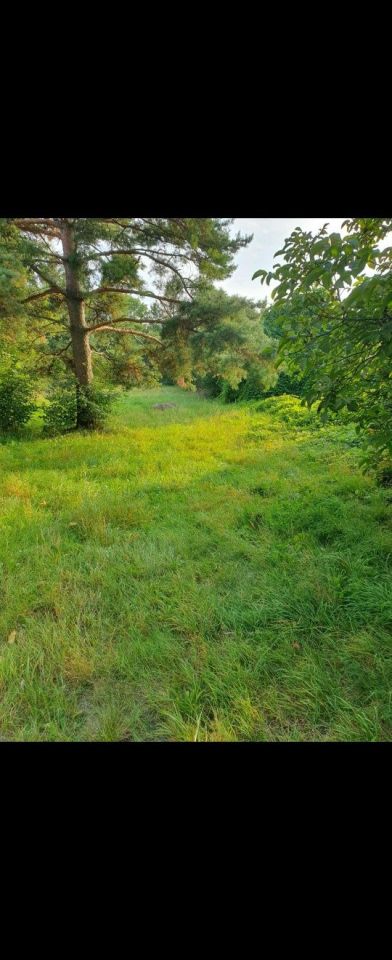 Działka budowlana Miedziana Góra. Zdjęcie 2