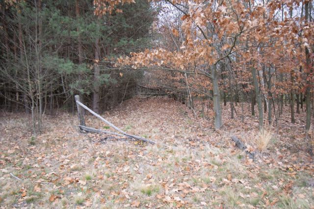 Działka Majdan Sieniawski. Zdjęcie 9