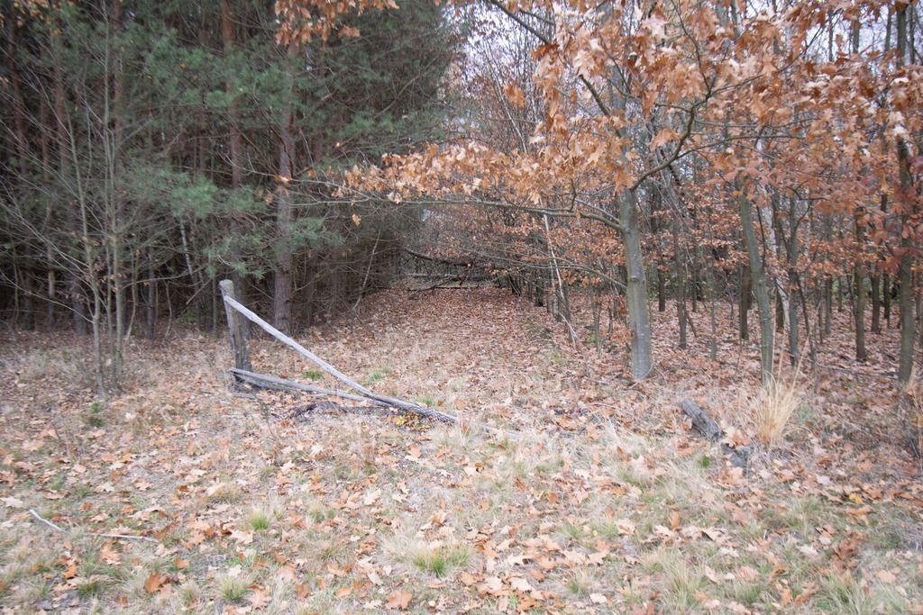 Działka Majdan Sieniawski. Zdjęcie 9