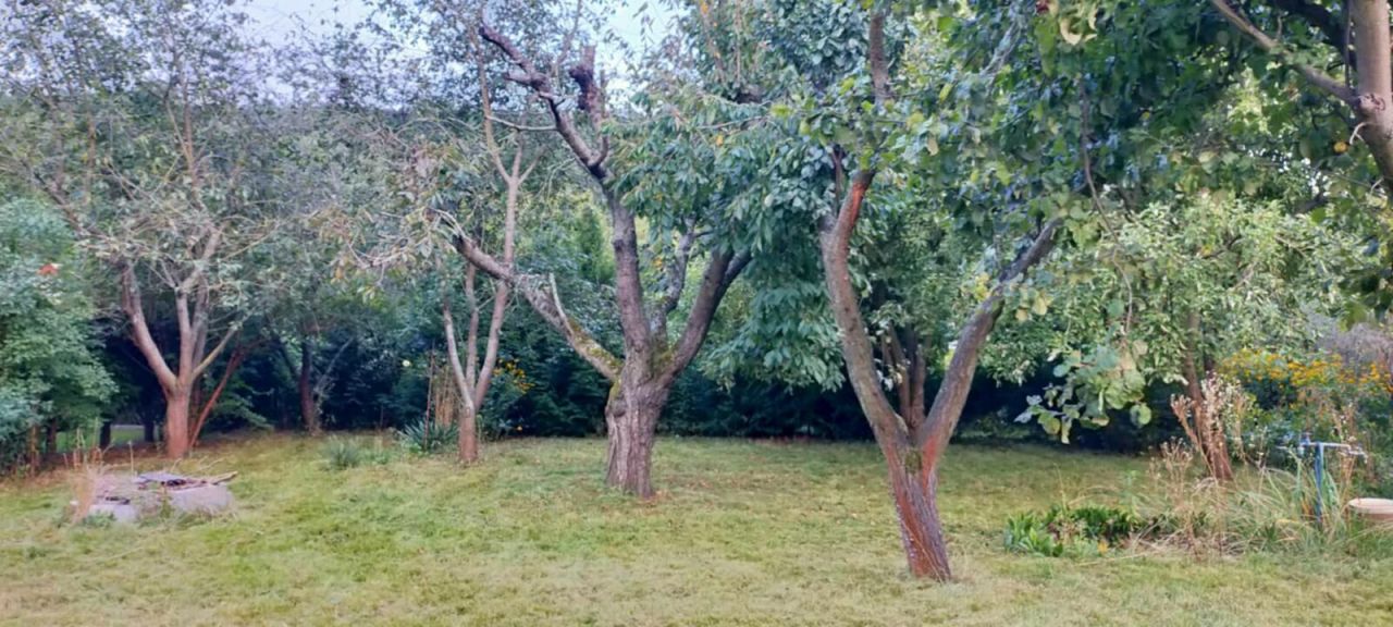 Działka rod Gostynin Bratoszewo. Zdjęcie 11