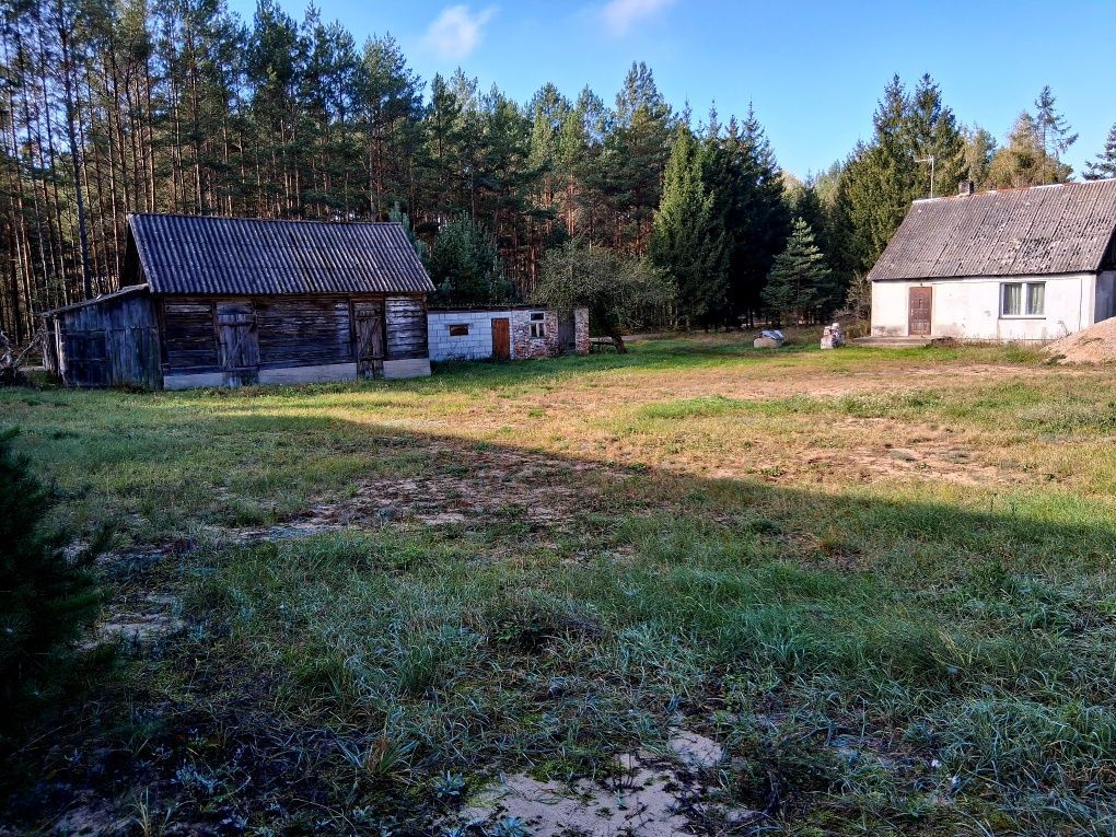 Działka siedliskowa Krusza. Zdjęcie 2